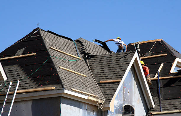 Best Roof Gutter Cleaning  in Montrose, VA
