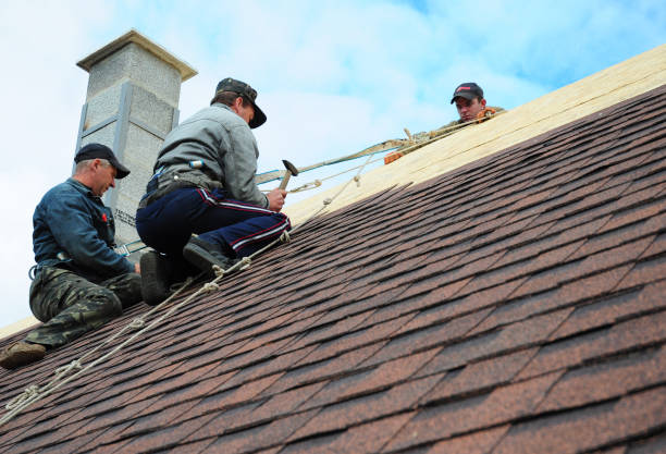 Best Residential Roofing Contractor  in Montrose, VA
