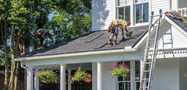 Roof Gutter Cleaning in Montrose, VA